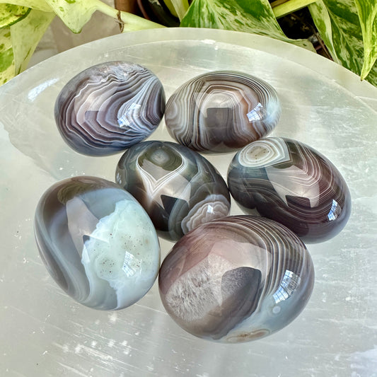Large Botswana Agate Tumbles