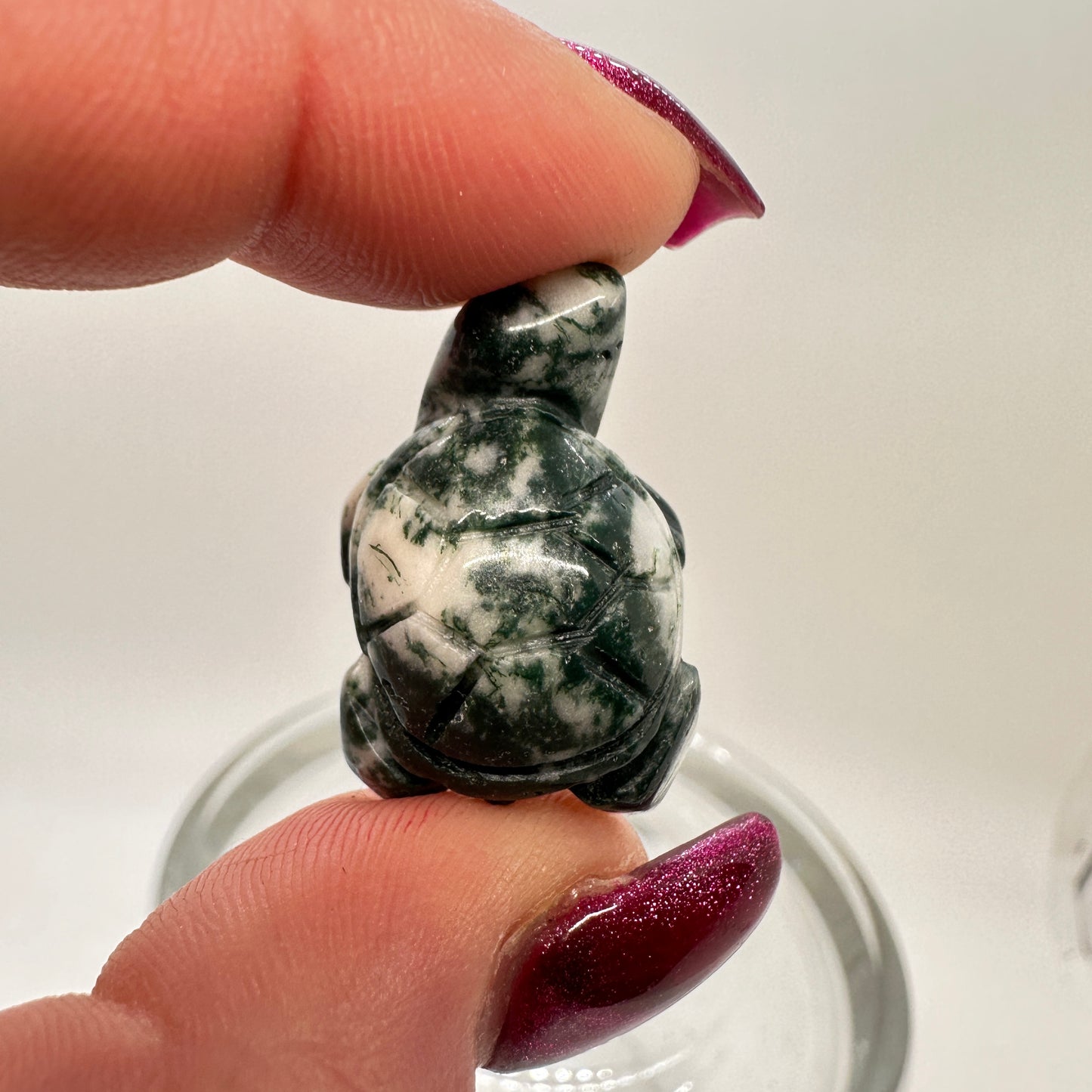 Mini Moss Agate Turtle - Katie's Mystic Crystals