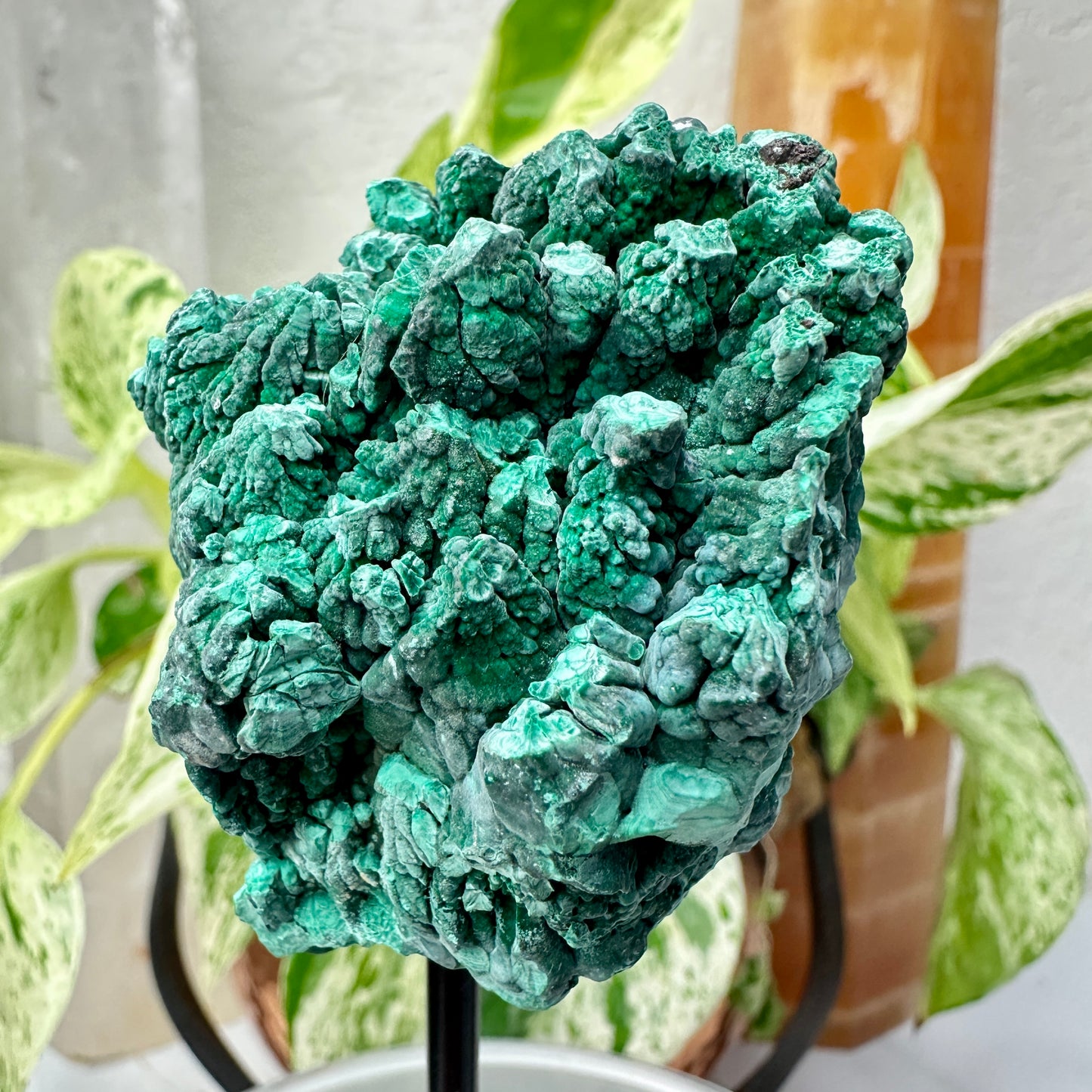 Botryoidal Malachite Specimen with Natural Cave — Mounted Display