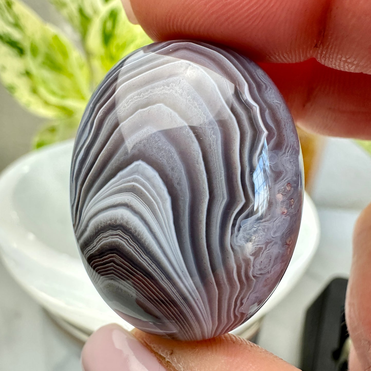 Large Botswana Agate Tumbles