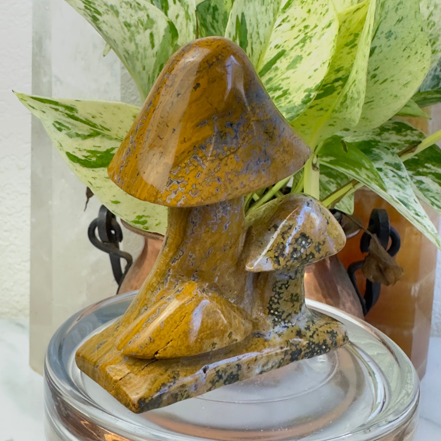 Spotted Jasper Mushrooms