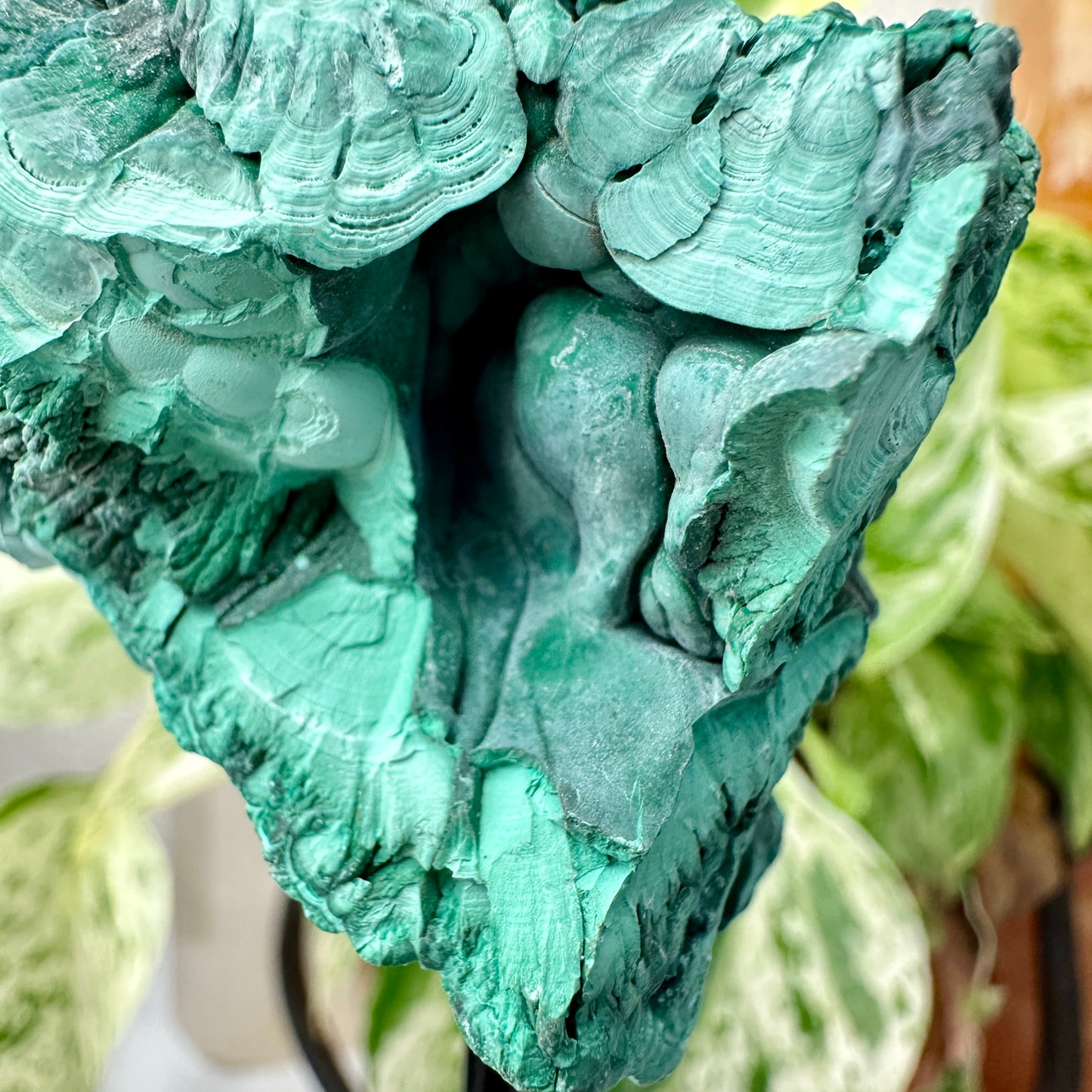 Botryoidal Malachite Specimen with Natural Cave — Mounted Display