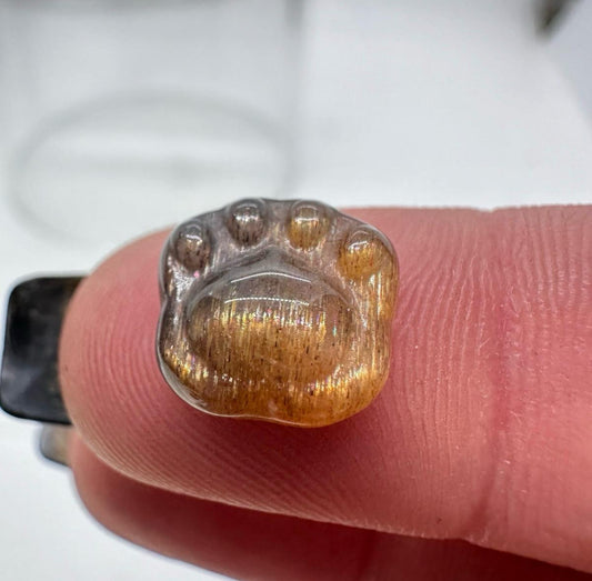 Micro Mini Sunstone Pet Paw
