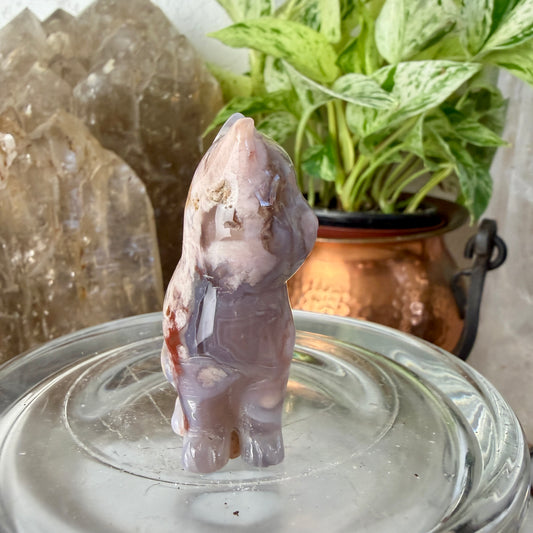 Polished Flower Agate Cat