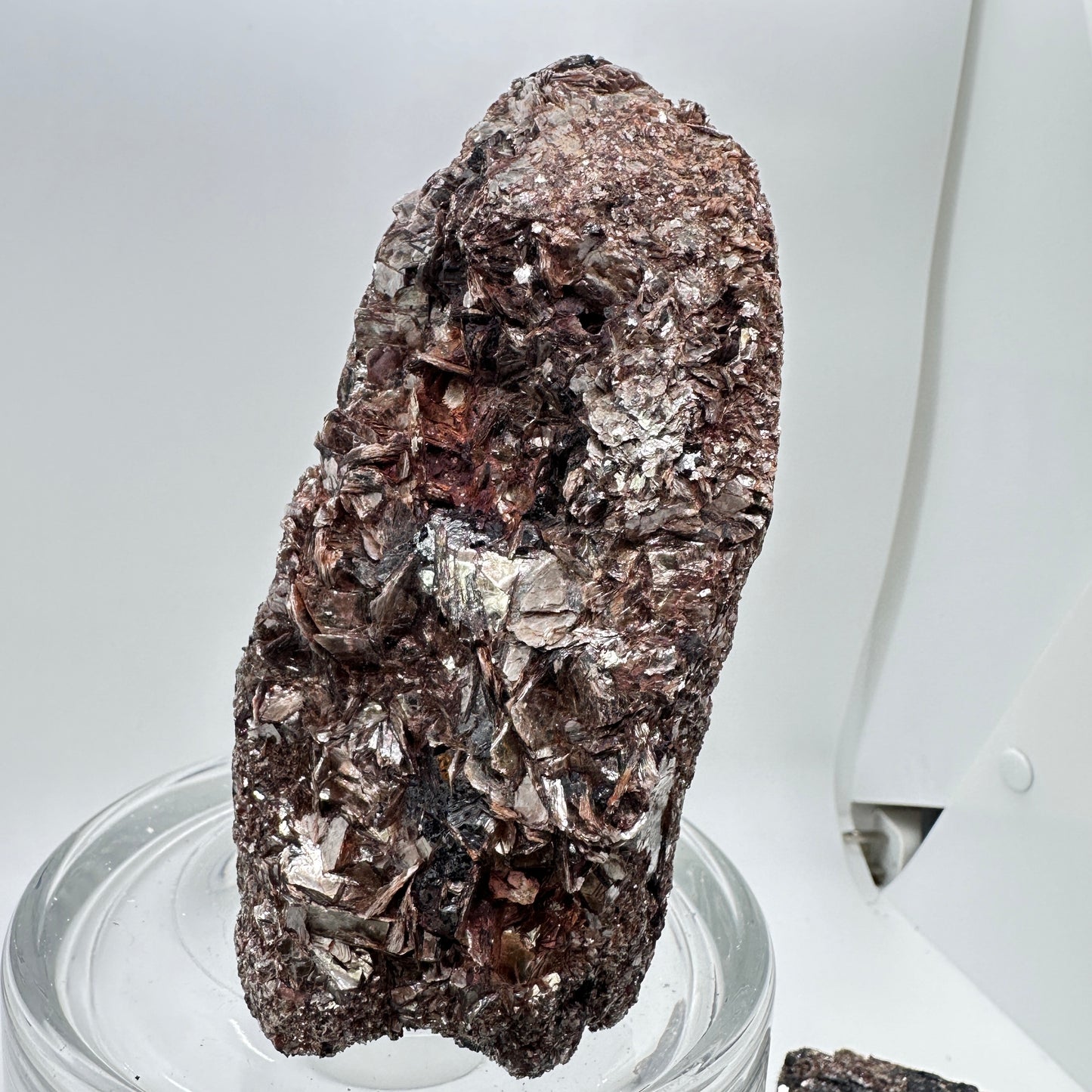Black Tourmaline and Golden Mica Specimen - Katie's Mystic Crystals
