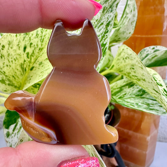 Agate Slab Cat