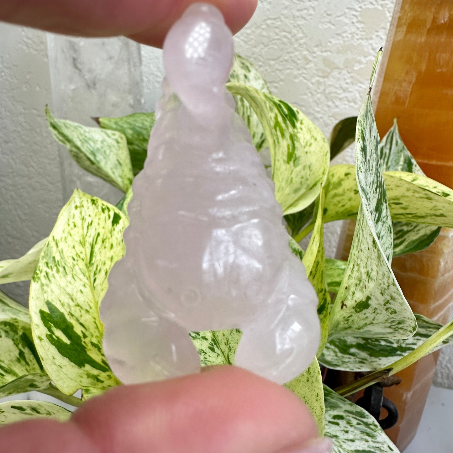 Scorpion Carving - 2 inch - Katie's Mystic Crystals