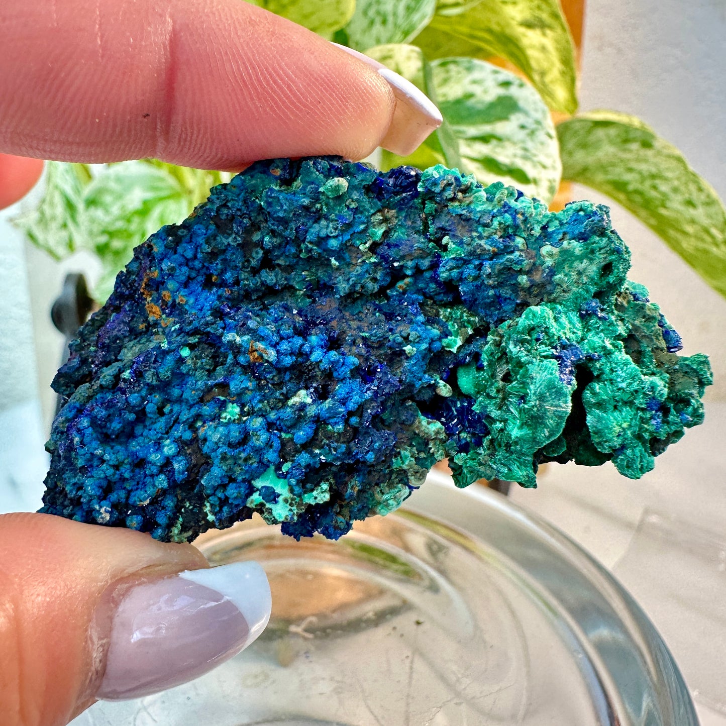 Azurite & Malachite Specimen — 36 grams | Morocco
Third Eye Activation | Transformation | Heart Healing