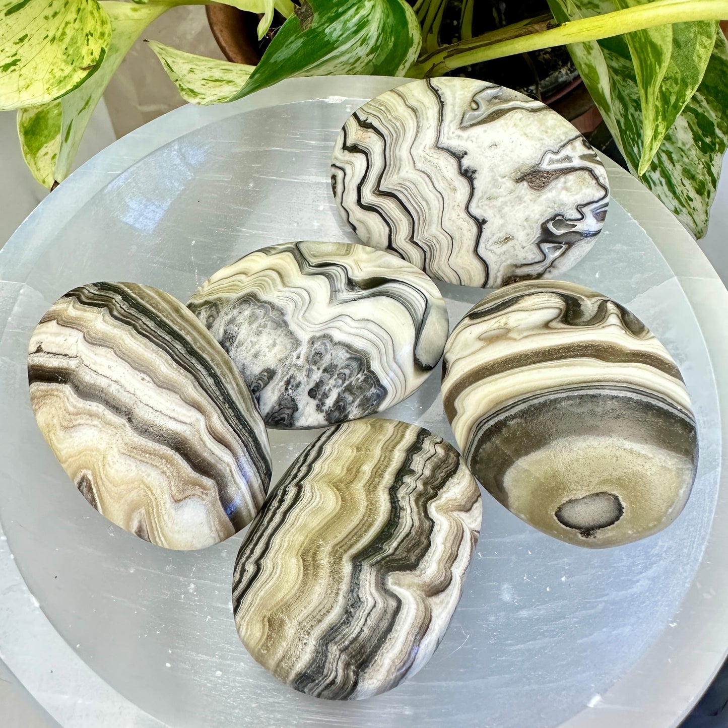 Panda Calcite Palm Stone