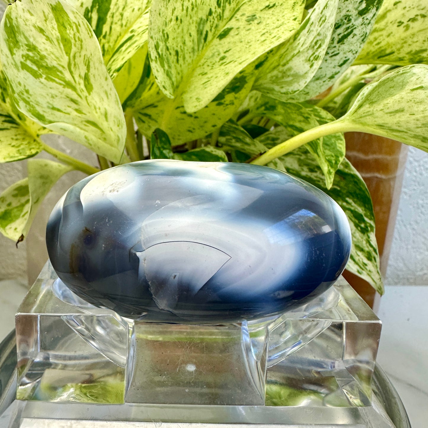 Orca Agate Palm Stone (H)