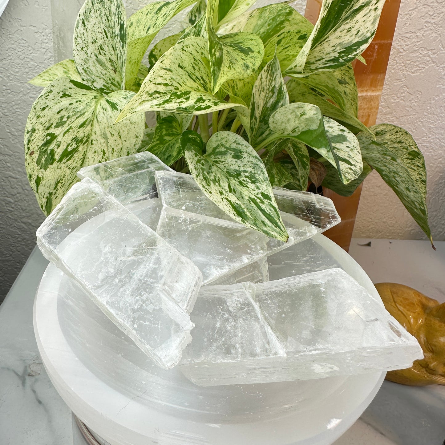 Raw Selenite Slabs — 2–5 oz Each
Cleansing | Light | Energy Amplifier