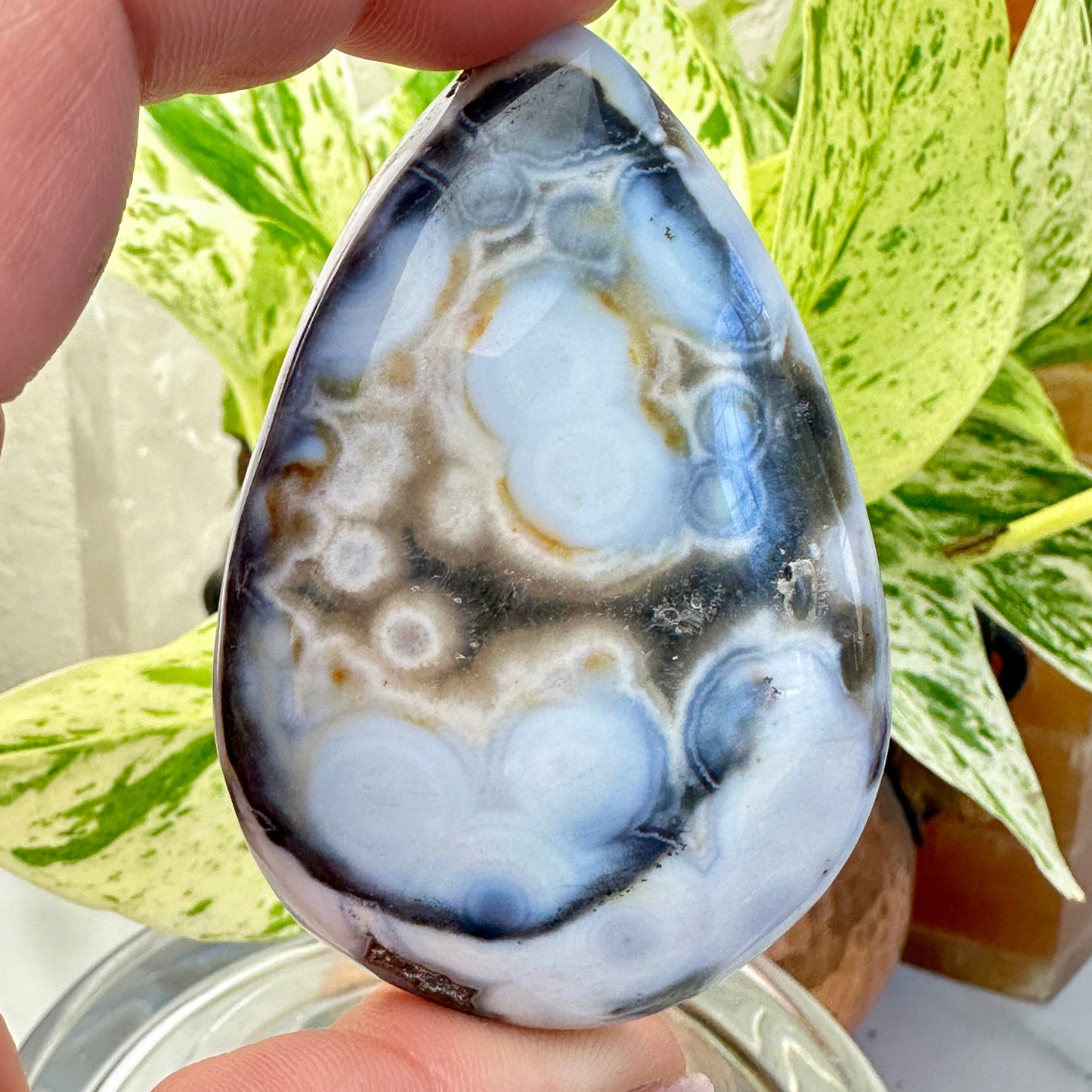 Ocean Jasper Cabs