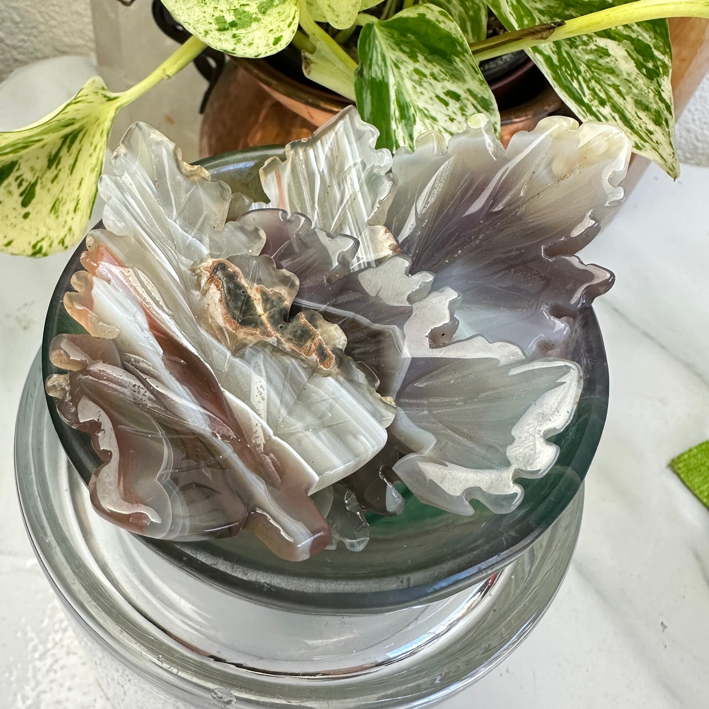 Agate Leaves - You Chose - Katie's Mystic Crystals