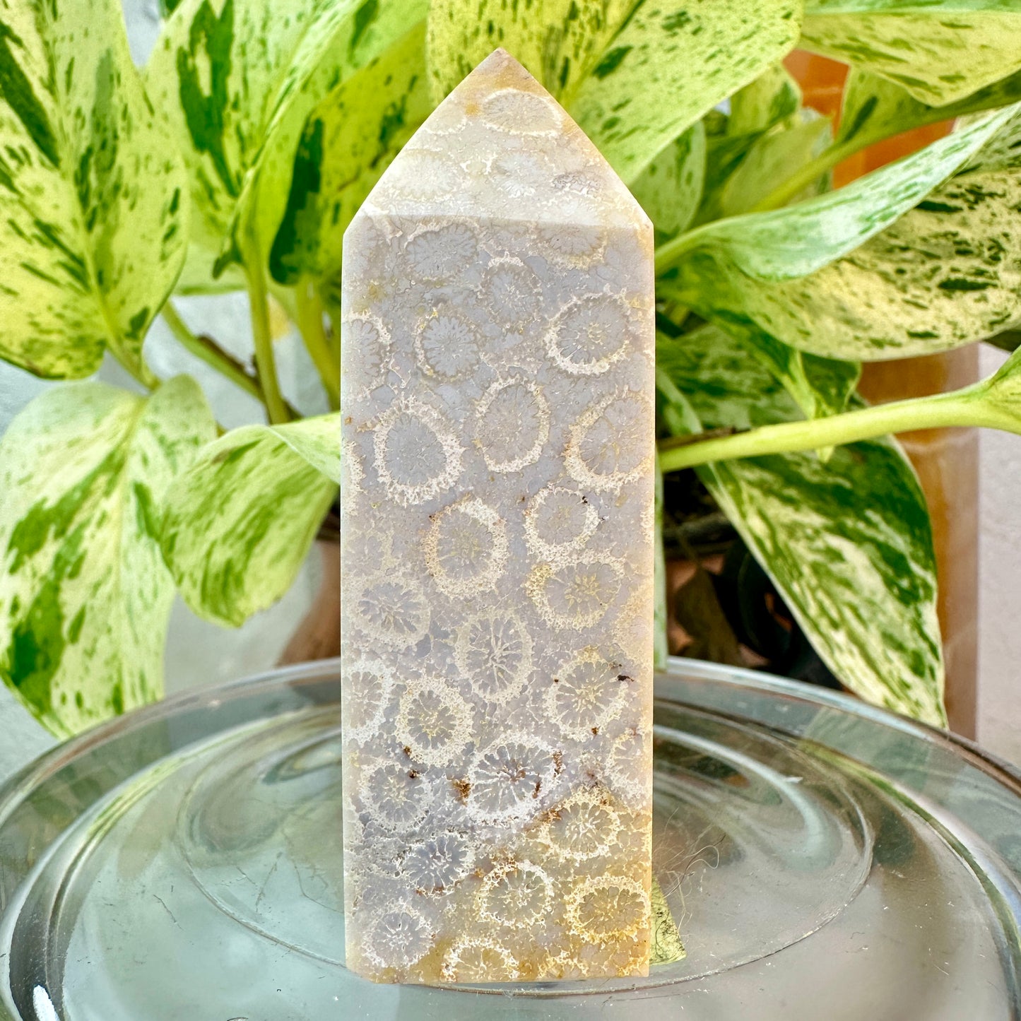 Coral Jasper Tower — 2.8 inch
Grounding | Vitality | Earth Connection