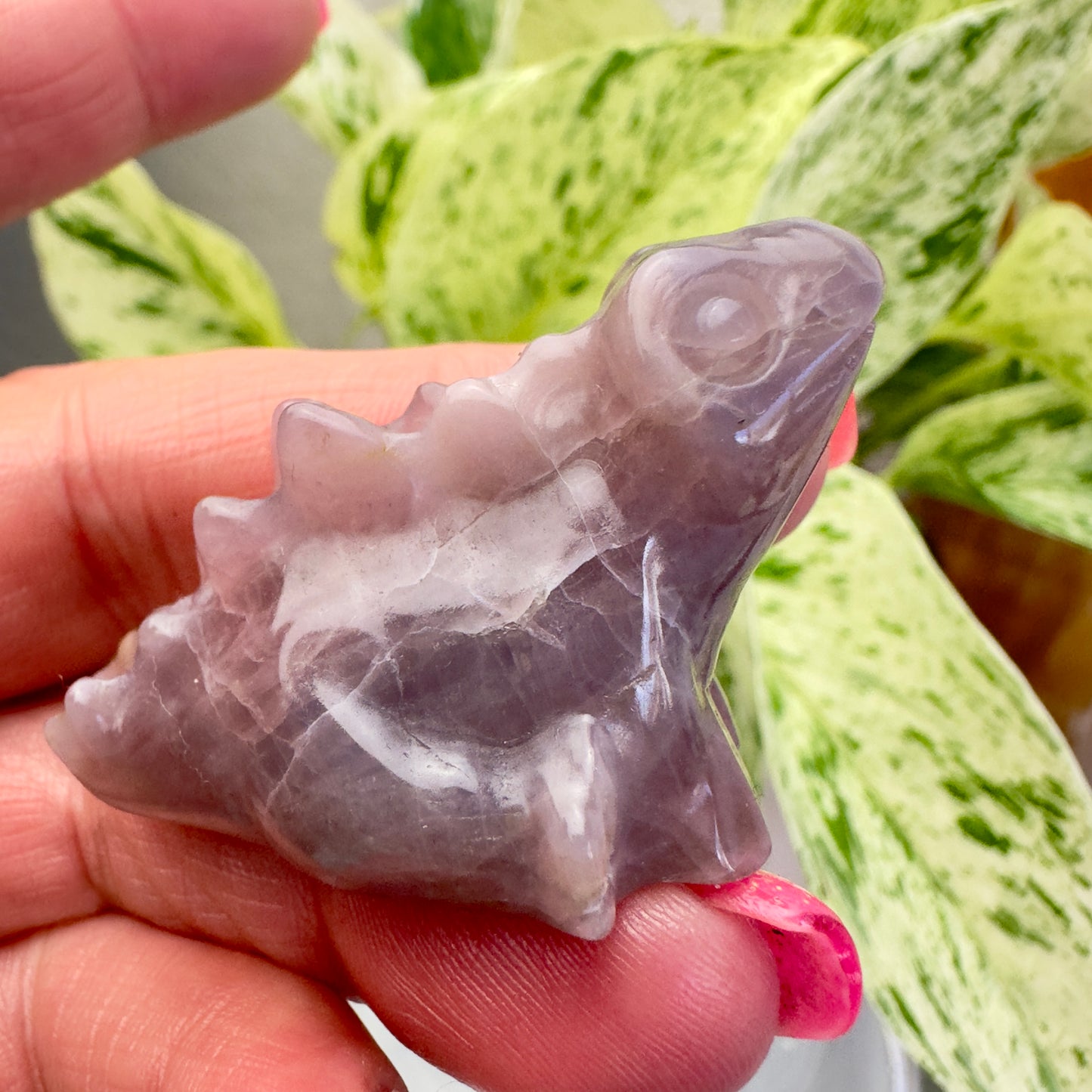 Crystal Baby Stegosaurus