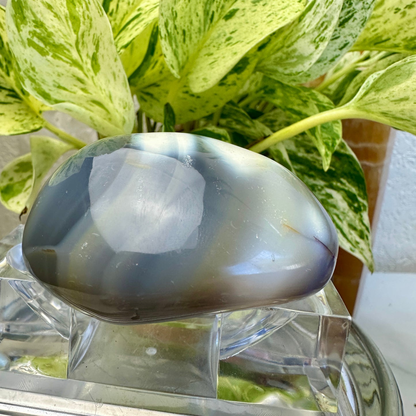 Orca Agate Palm Stone (G)