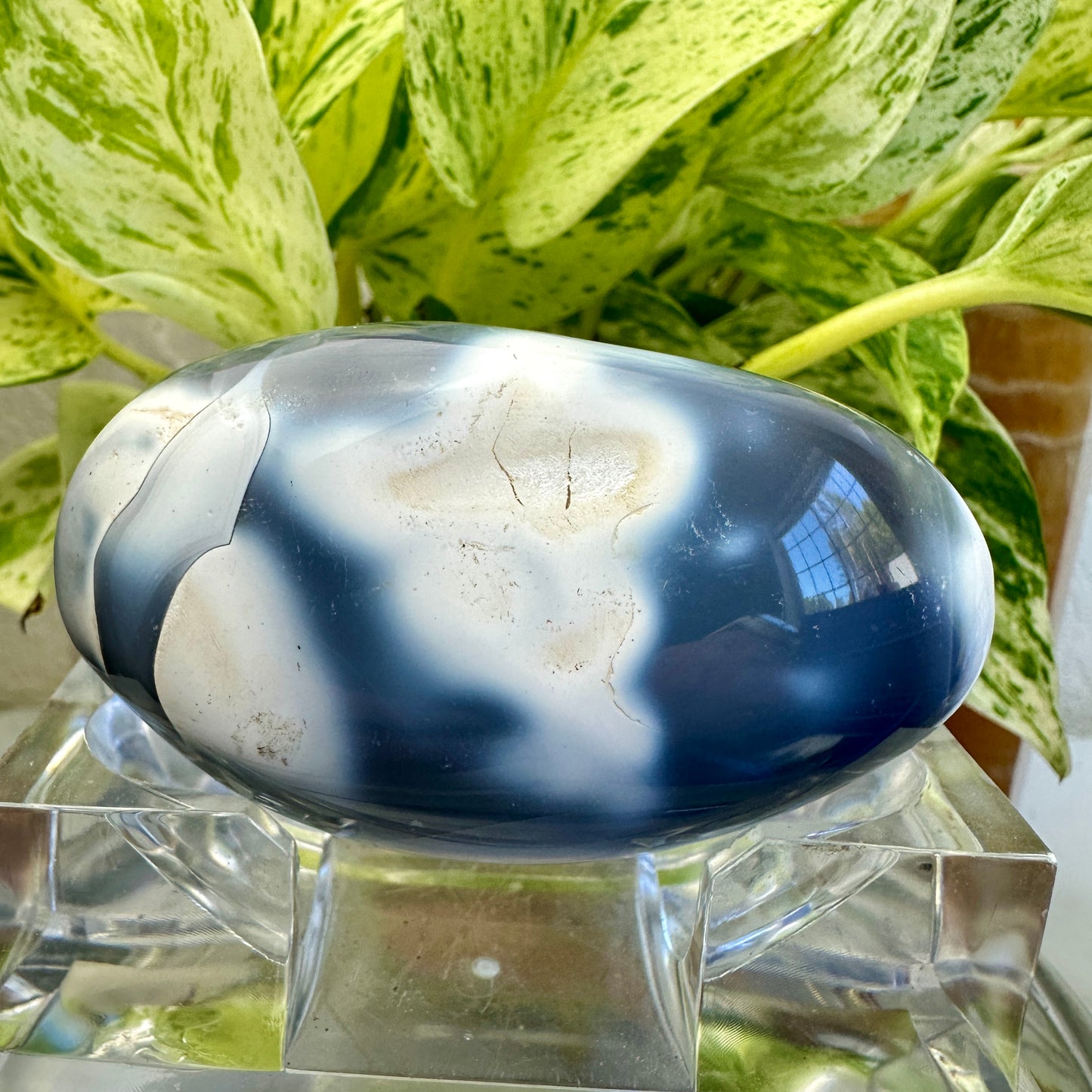 Orca Agate Palm Stone (H)