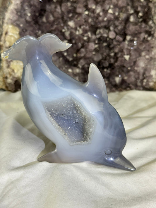 Stunning DRUZY Banded Blue Agate Dolphin Carving (A) Druze, hand-carved ,Agate, enhance, calm, security, peace - Katie's Mystic Crystals