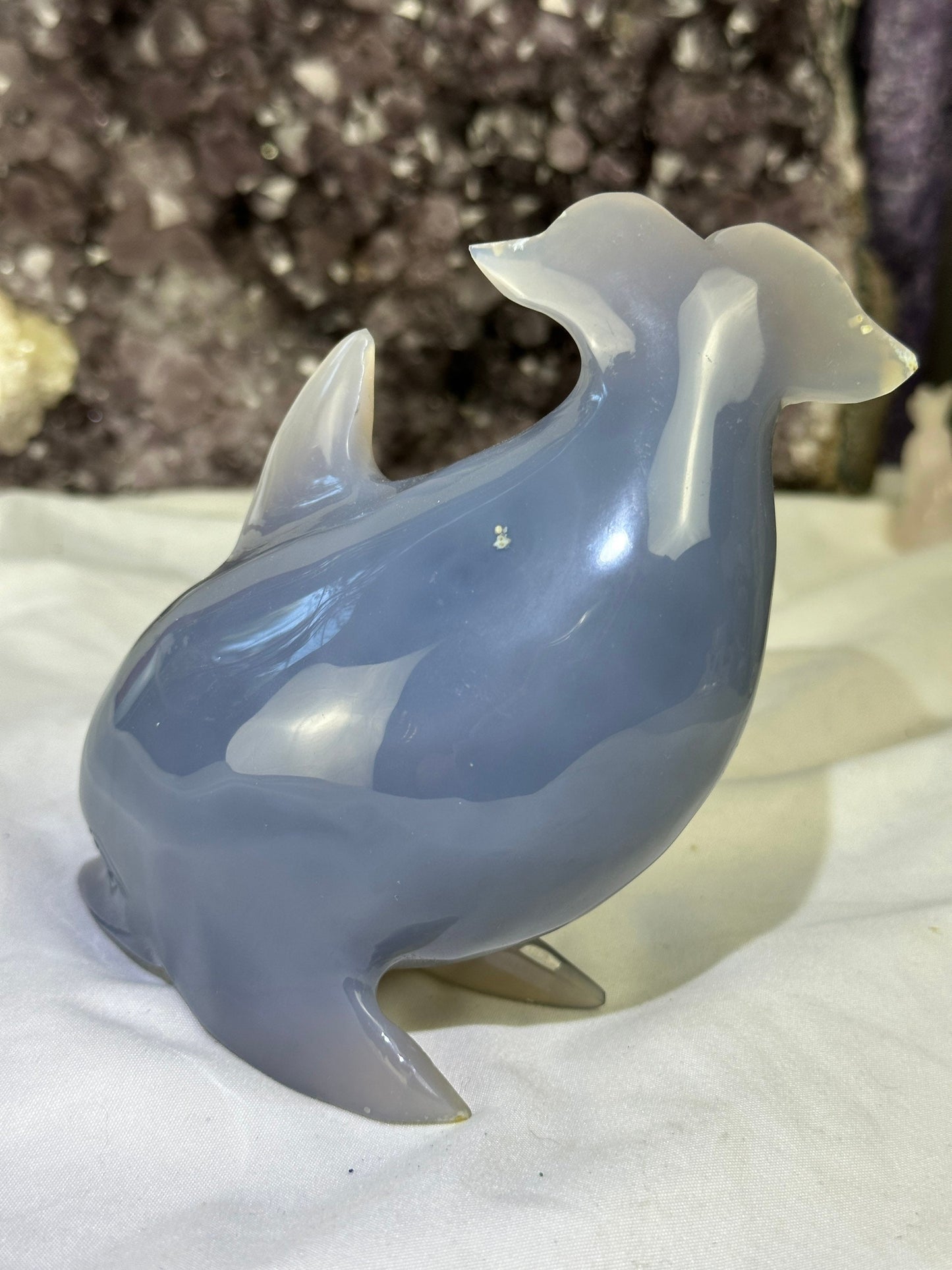 Stunning DRUZY Banded Blue Agate Dolphin Carving (A) Druze, hand-carved ,Agate, enhance, calm, security, peace - Katie's Mystic Crystals