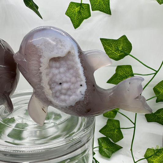 Snowdrift DRUZY Agate Whale Pair Carvings (A) - Katie's Mystic Crystals