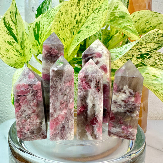 Unicorn Stone Points
✨ Emotional Healing | Inner Magic | Nurturing Support ✨