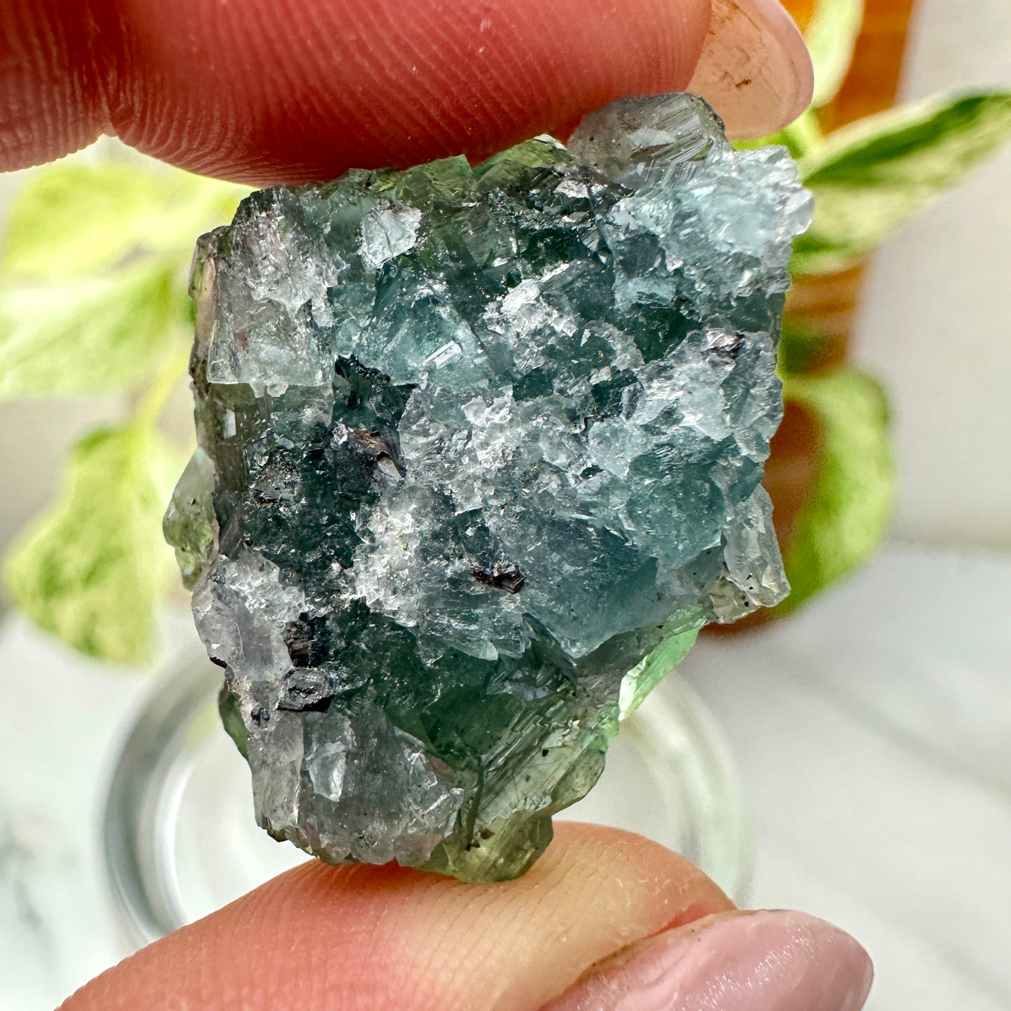 Cubic Blue-Green Fluorite with Natural Pyrite Specimens — Energetic Alchemy in Crystal Form