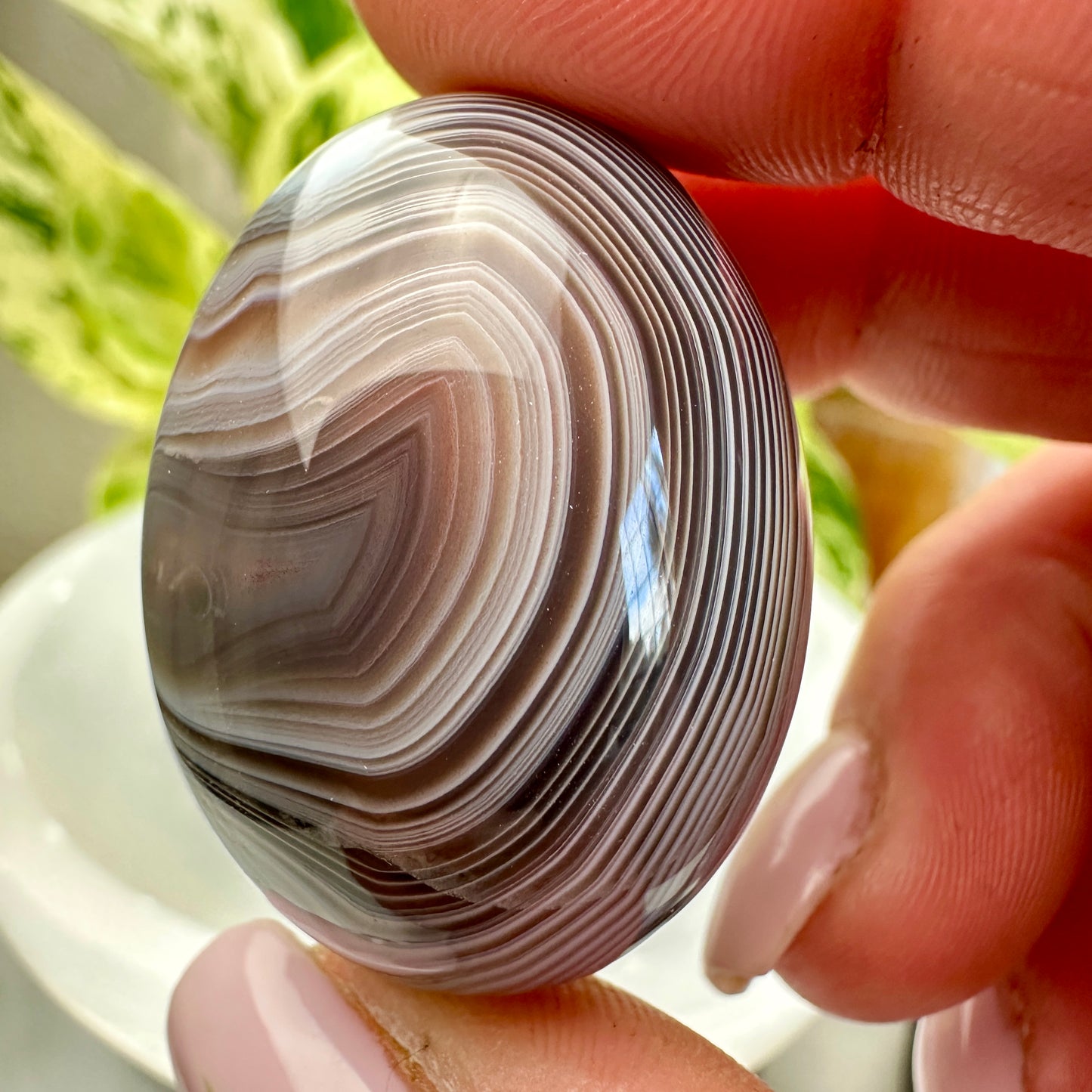 Large Botswana Agate Tumbles