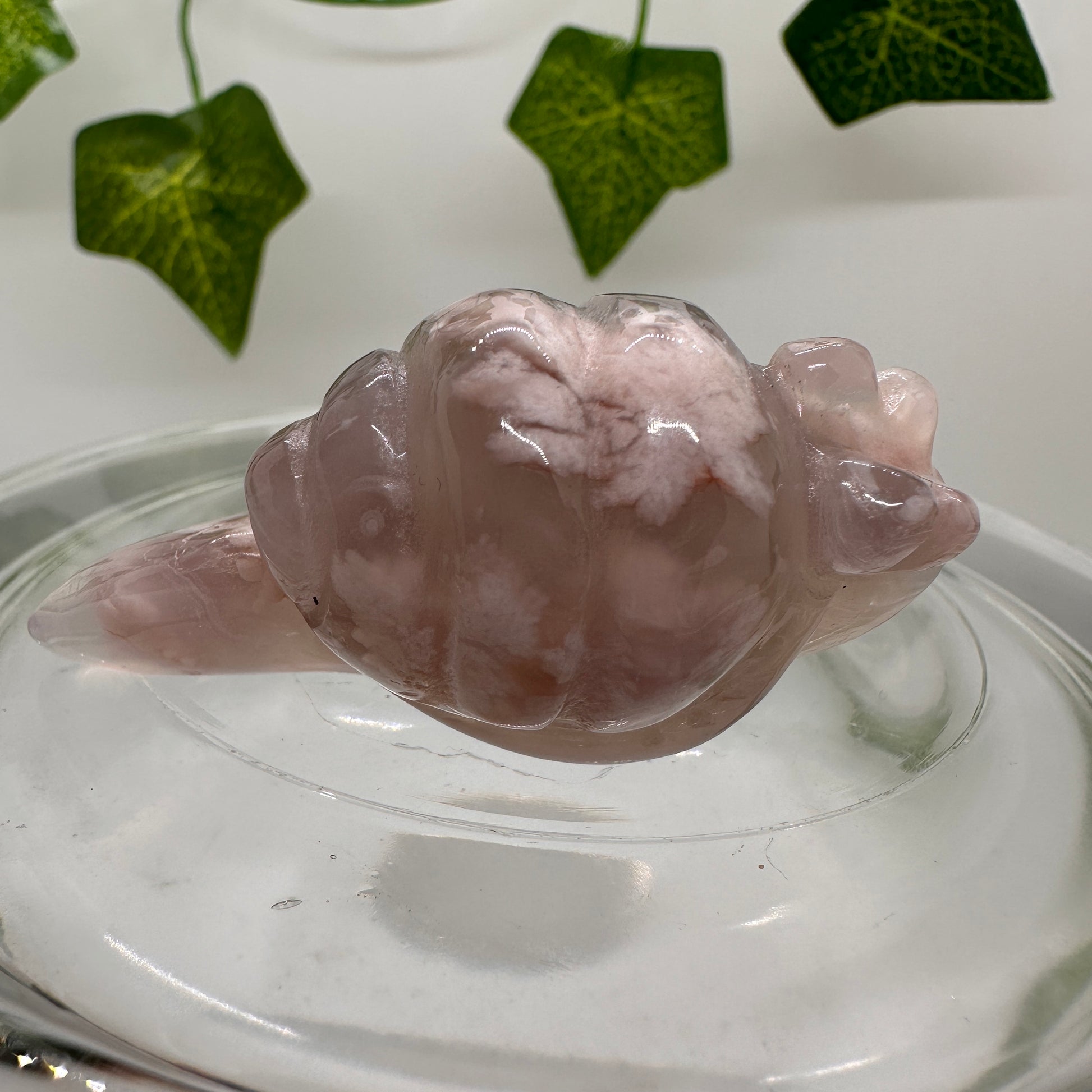 Flower Agate Snail (B) - Katie's Mystic Crystals