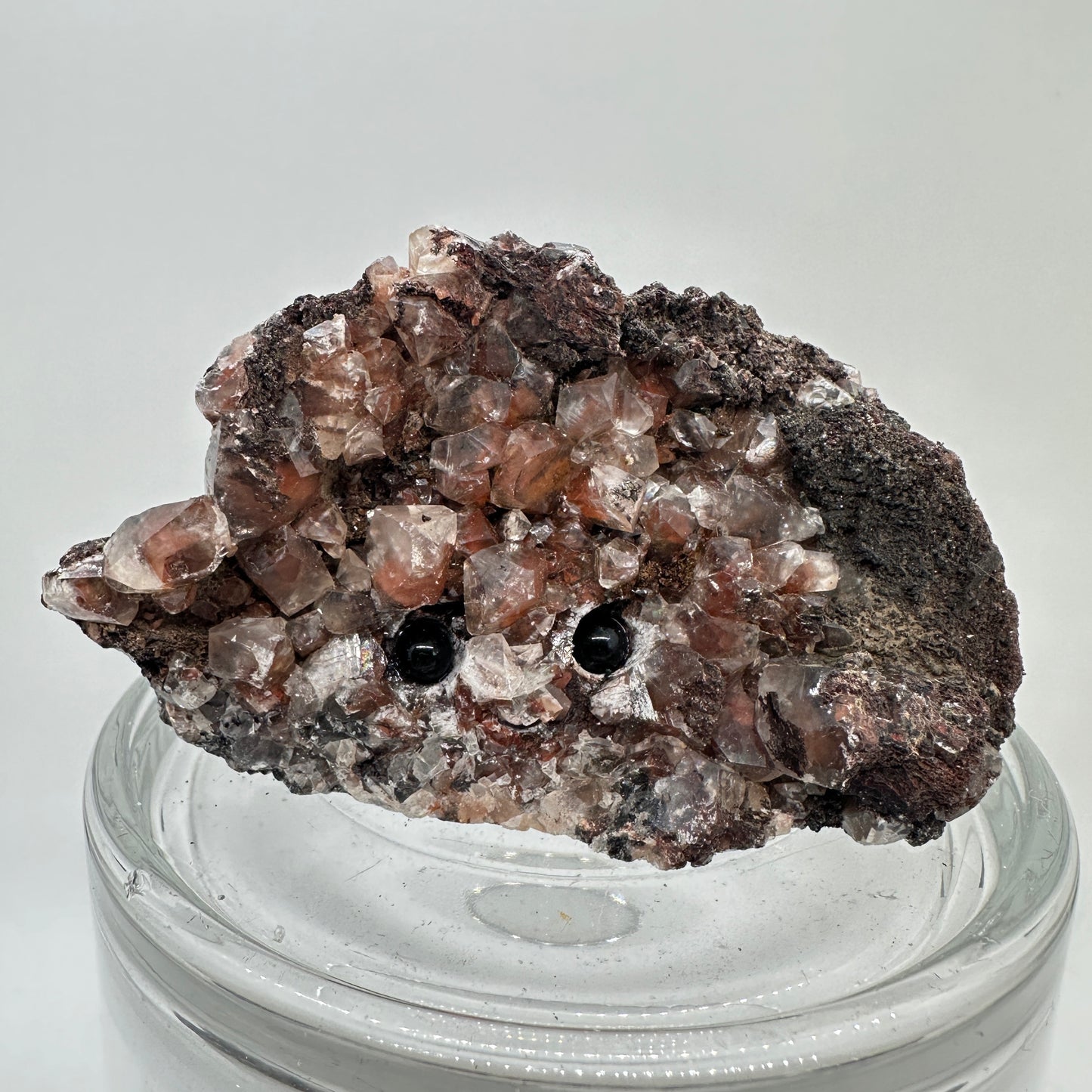 Katie’s Crystal Critters - Katie's Mystic Crystals