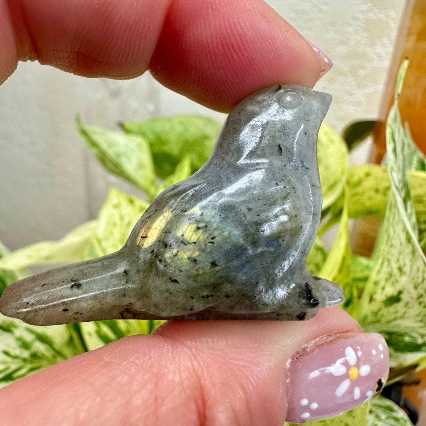Crystal Sparrow