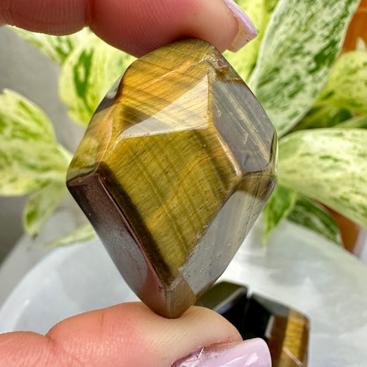 Tigers Eye Gusher