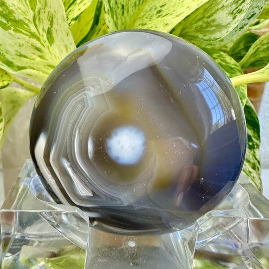 Orca Agate Palm Stone (D)