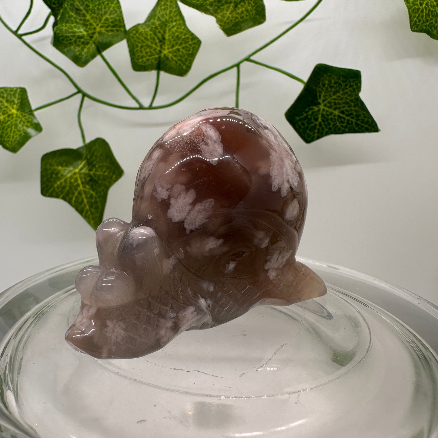 Flower Agate Snail (A) - Katie's Mystic Crystals