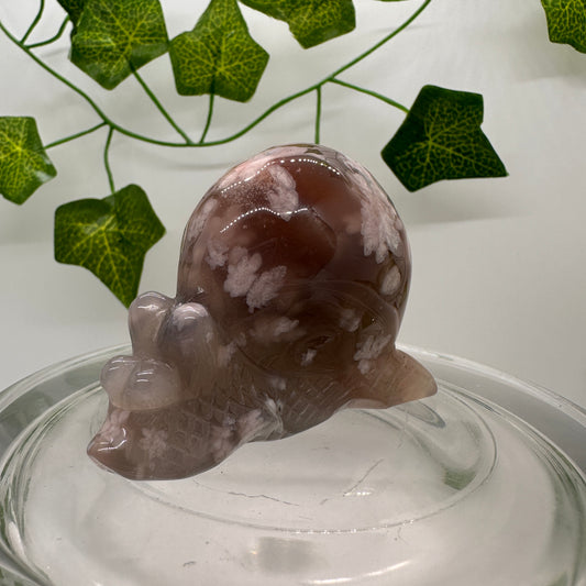 Flower Agate Snail (A) - Katie's Mystic Crystals