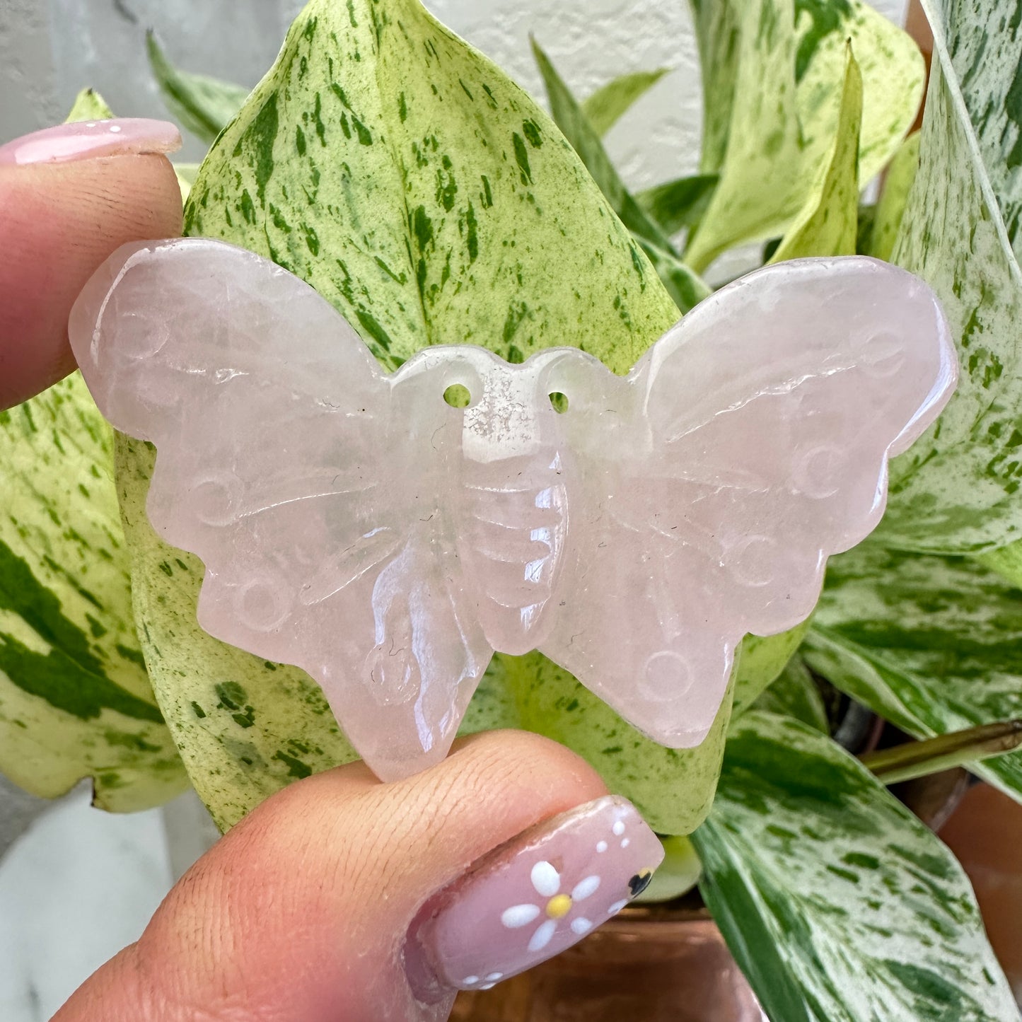 Crystal Butterfly’s - Imperfect - Katie's Mystic Crystals