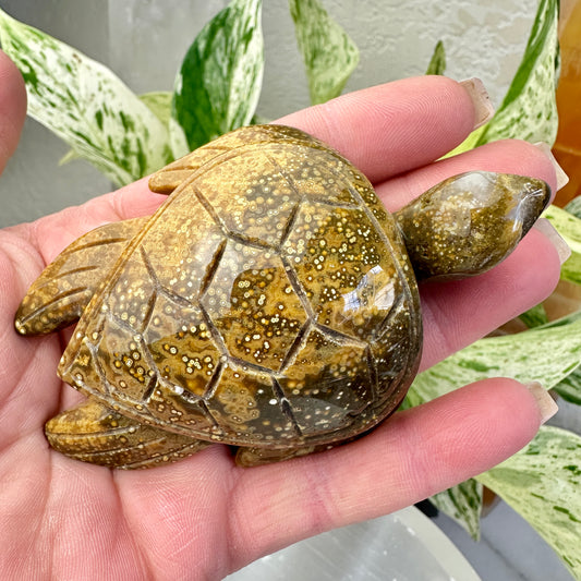 Orbicular Jasper Sea Turtle — 3.4 inch
Patience | Protection | Emotional Flow