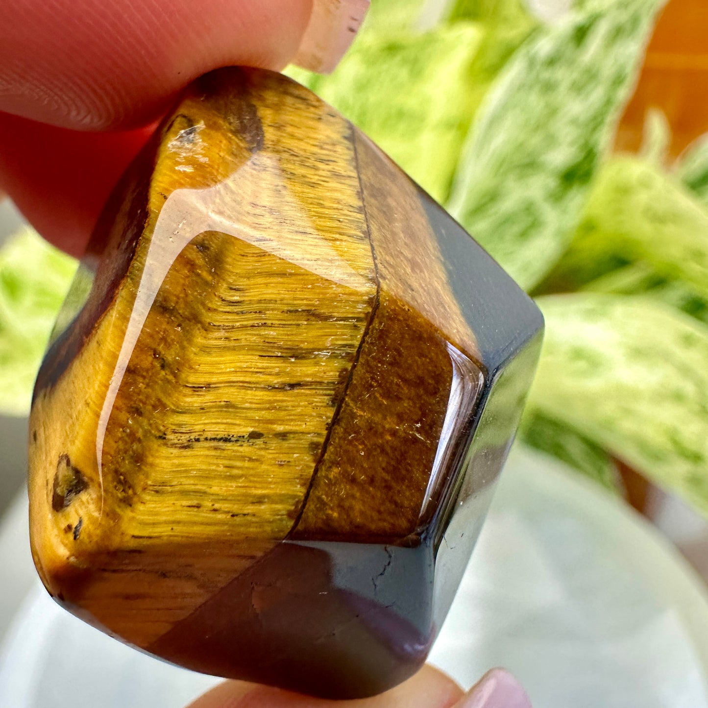 Tigers Eye Gusher