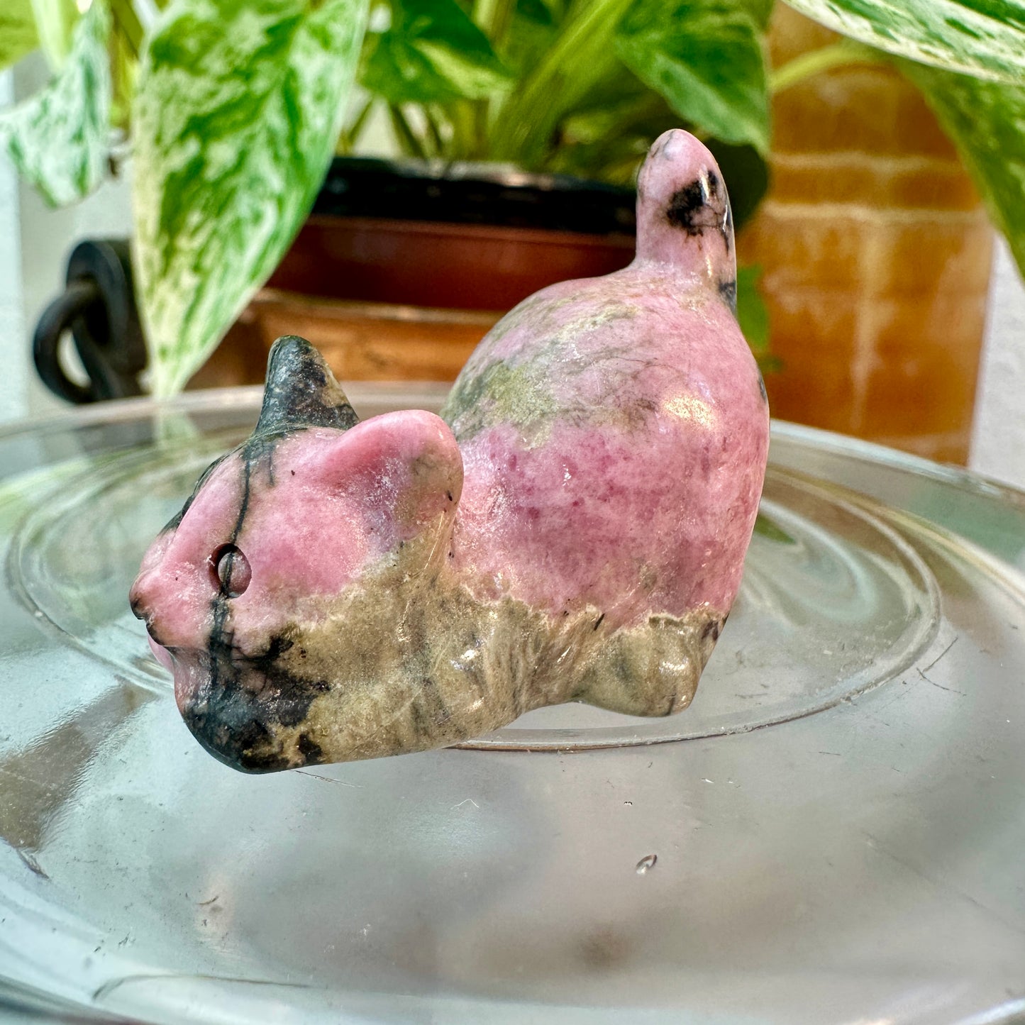 Mini Crystal Cats — 0.25 to 2 inches Whimsy | Protection | Energy Companions