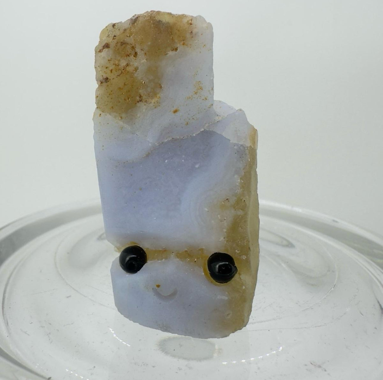 Crystal Critters - Specimen