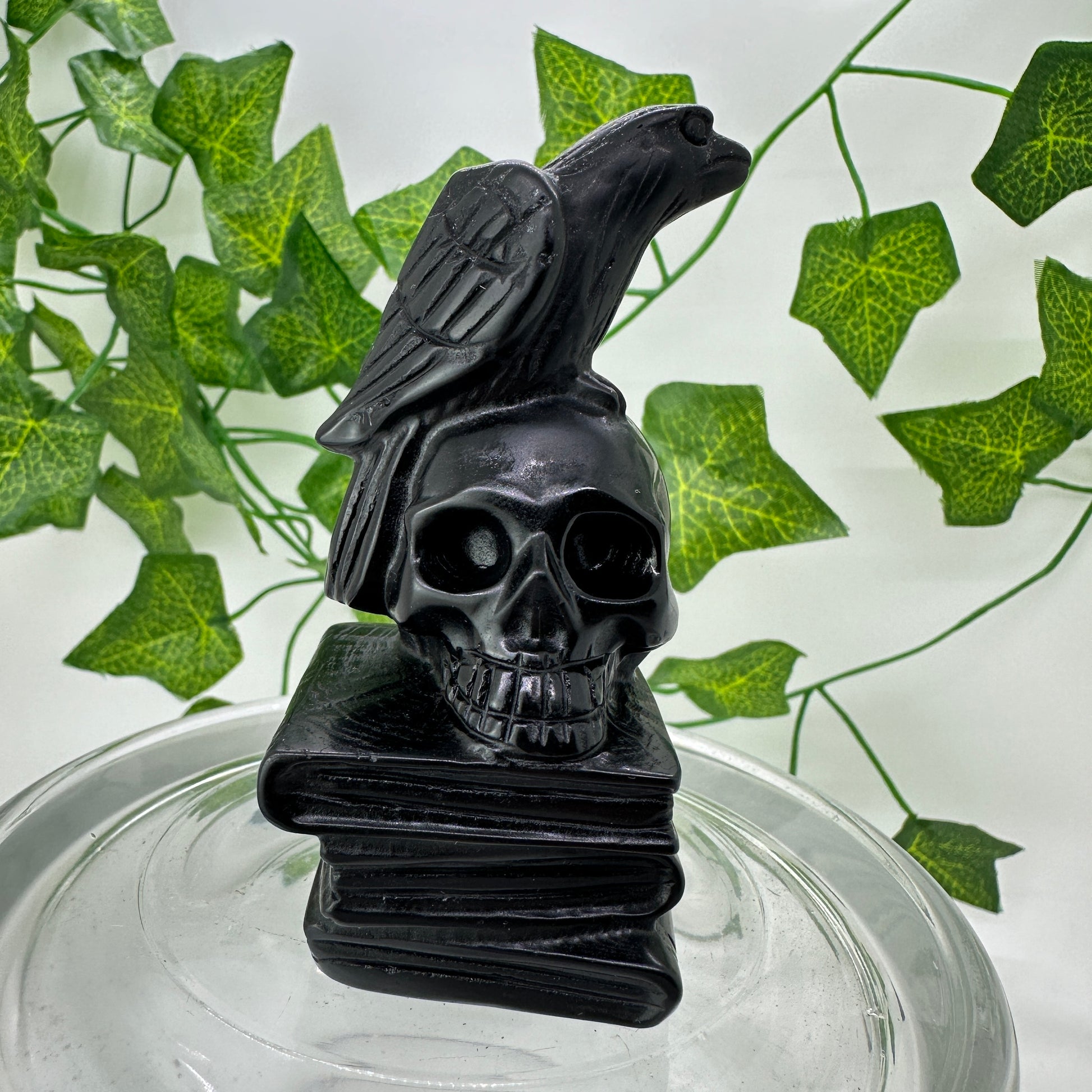 Raven Skull Book Carving - Katie's Mystic Crystals