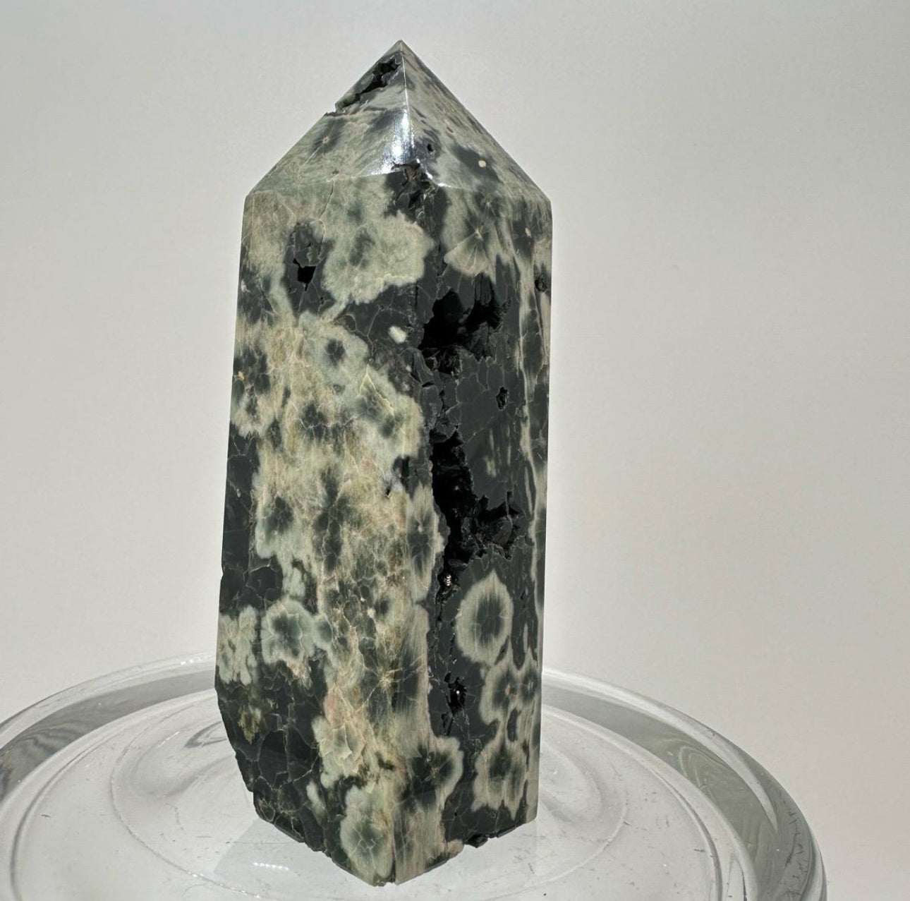 Forest Jasper Towers