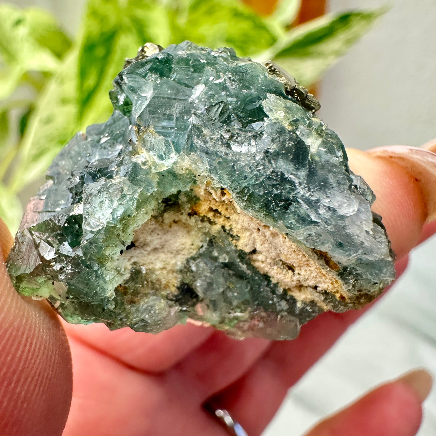 Cubic Blue-Green Fluorite with Natural Pyrite Specimens — Energetic Alchemy in Crystal Form