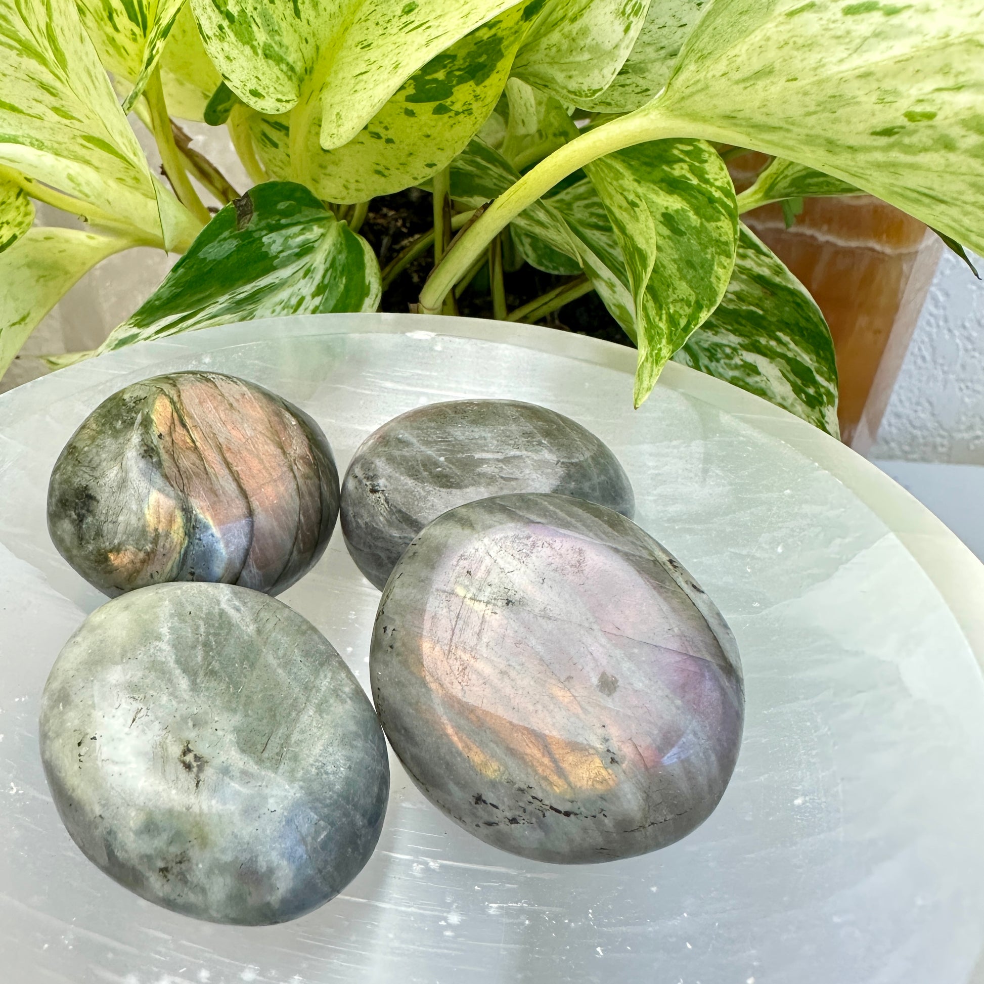 Labradorite Palm Stones - Katie's Mystic Crystals