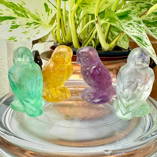 Fluorite Parrots
