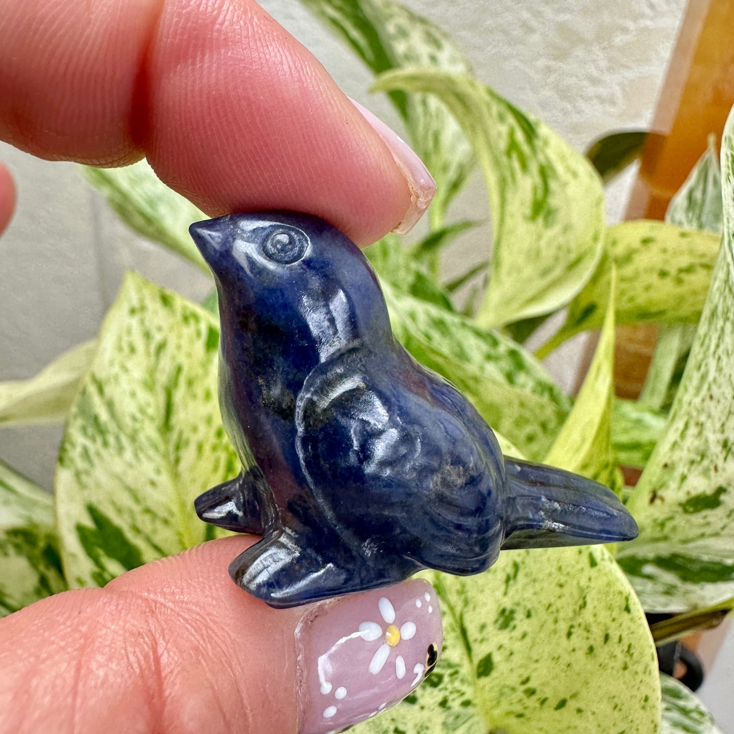 Crystal Sparrow