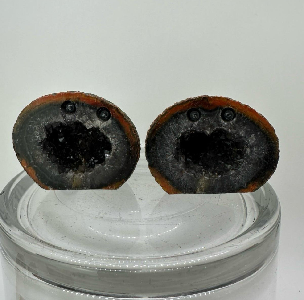 Crystal Critters- Geodes