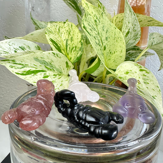 Scorpion Carving - 2 inch - Katie's Mystic Crystals