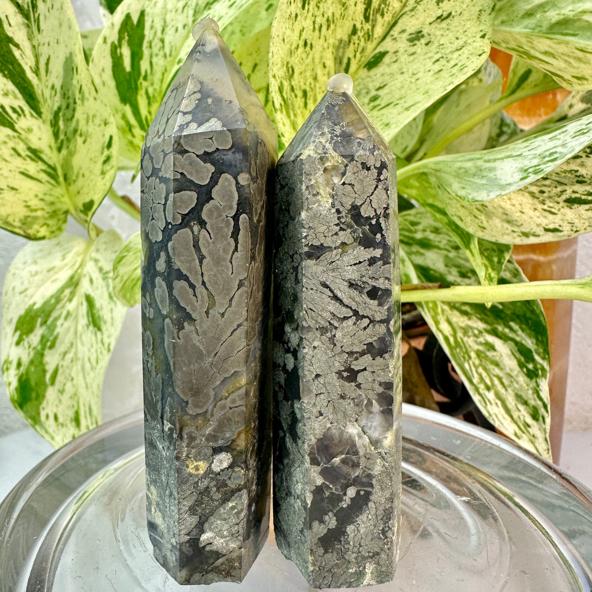 Marcasite Flower Agate Points — 3.1–3.4 inch - Katie's Mystic Crystals