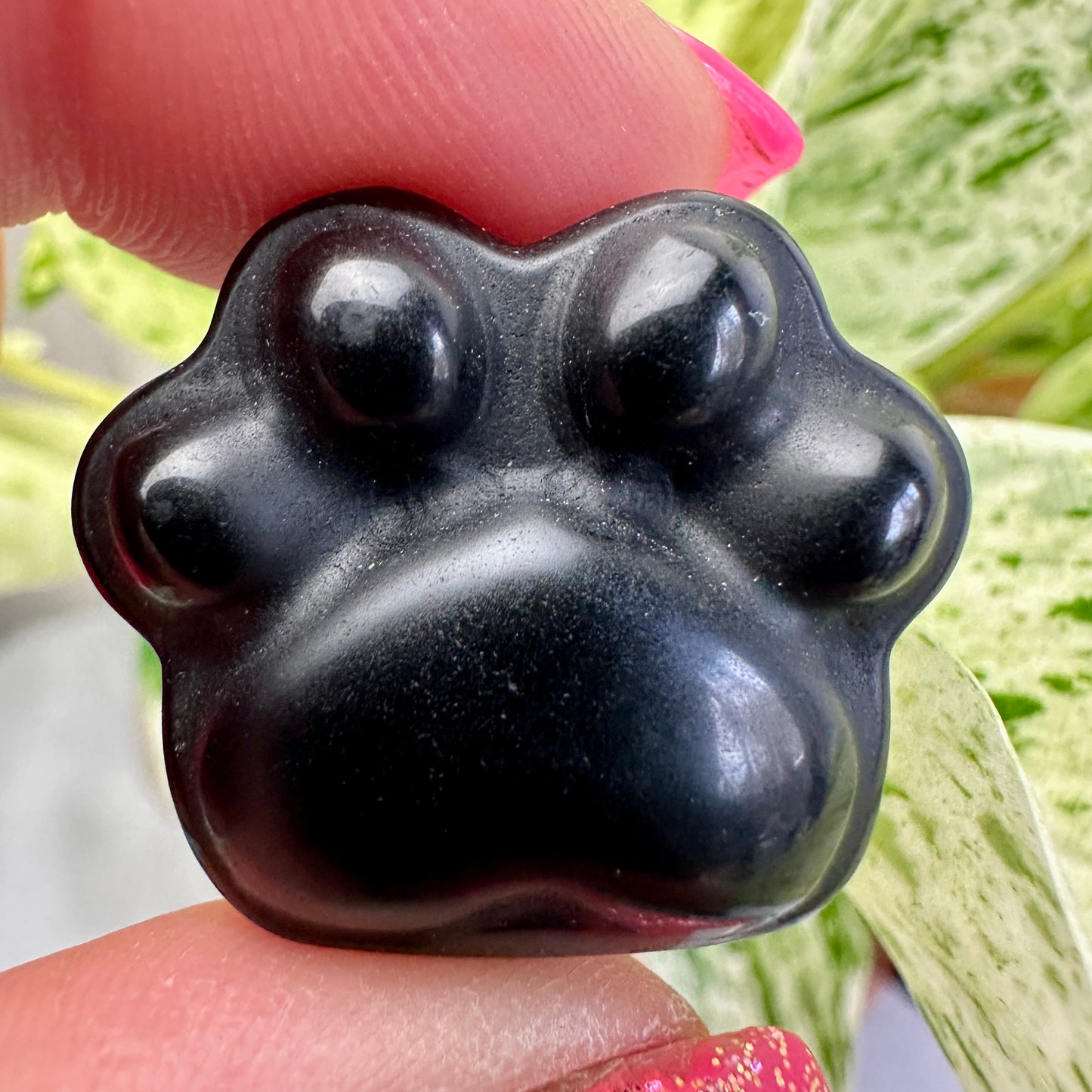 Crystal Pet Paw