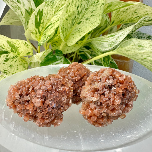 Aragonite Star Cluster